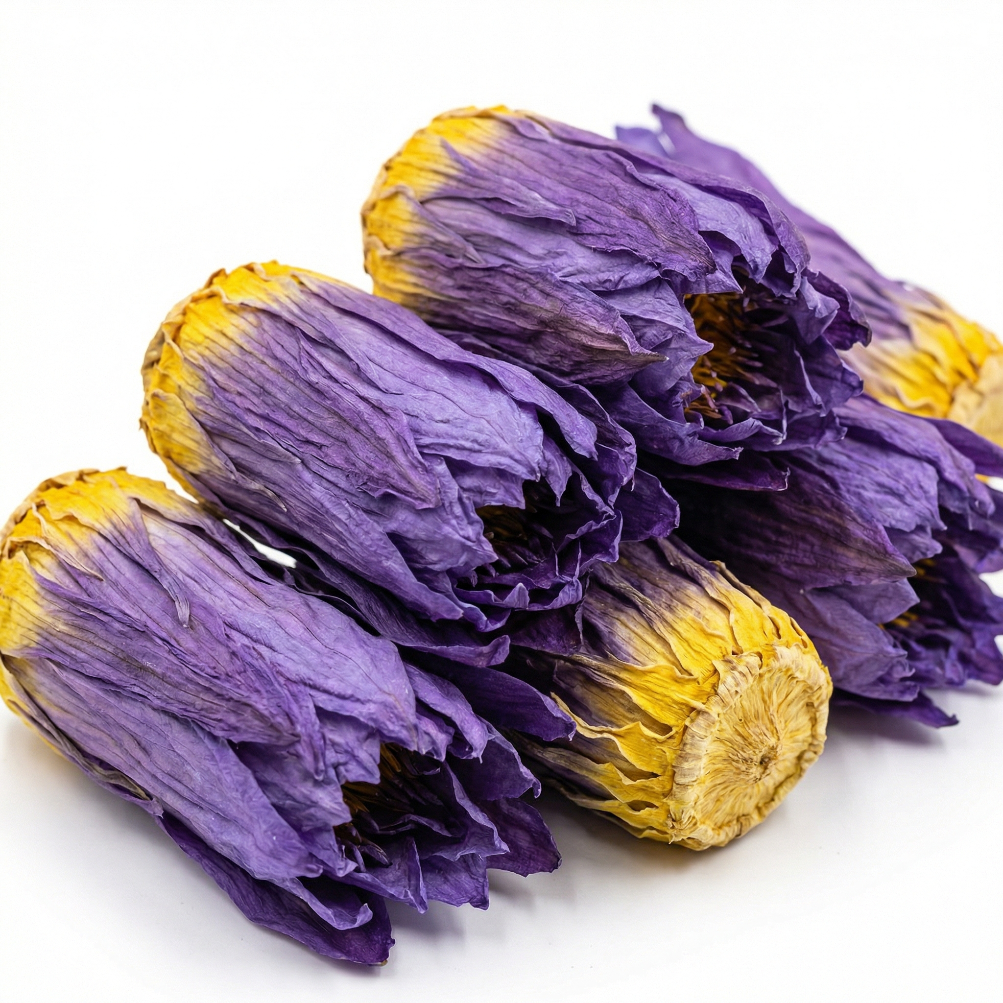 Nine-grade Fragrant Lotus - 图片 6