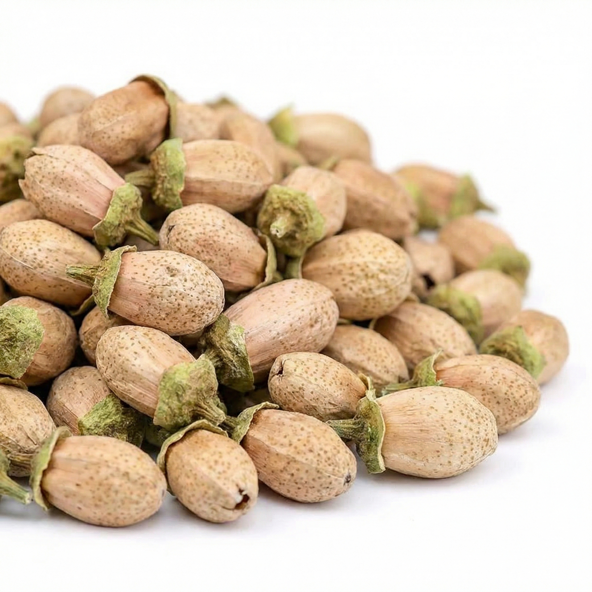 Daisy flower - 图片 5