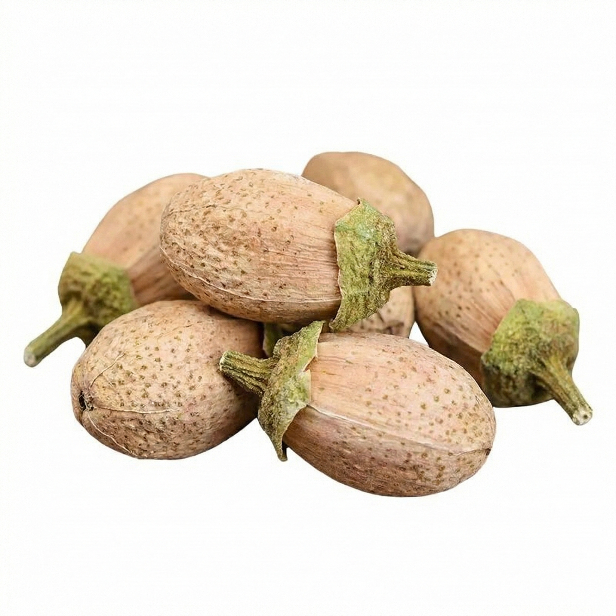 Daisy flower - 图片 6