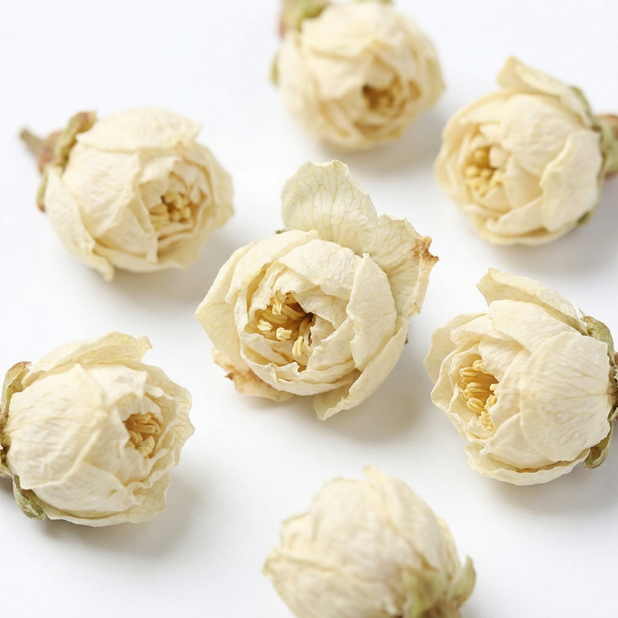 White plum blossoms - 图片 5